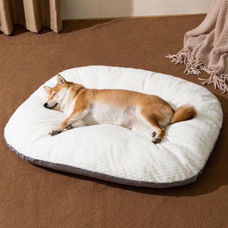 PET 강아지 방석 쿠션_이미지
