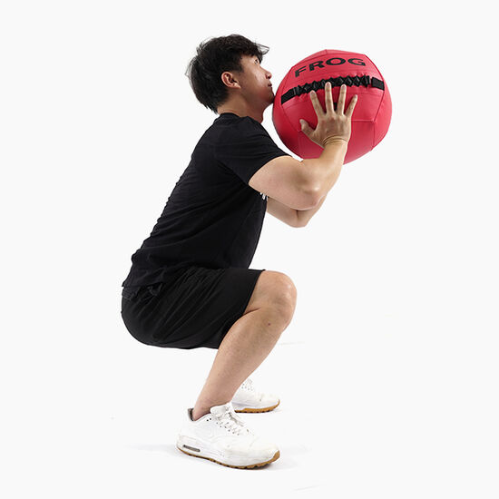 플러그피트니스 컬러 월볼 (9kg)