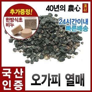 자애인 국산 말린 오가피열매 600g 가시오가피 가시오가피열매