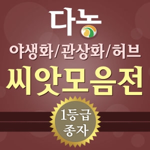 야생화씨앗 허브씨앗모음전/잔디씨앗/꽃씨앗/화훼씨앗