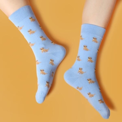 아트박스 스누지  PI-스카이블루 리트리버_이미지