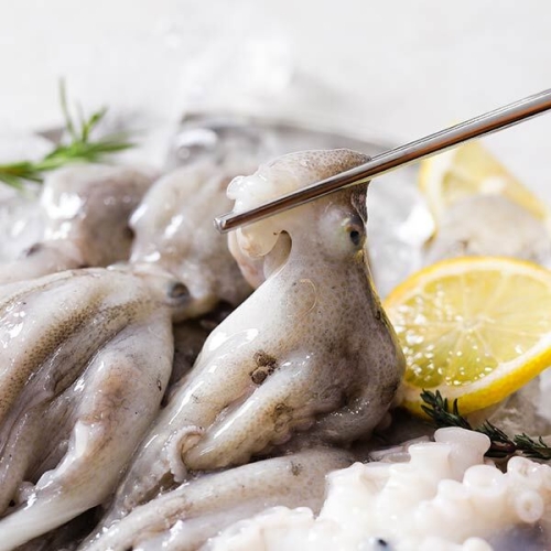 자연맛남 고흥 정품 A급 활 쭈꾸미 5-8미 1kg [1개]