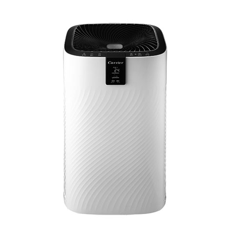 캐리어 클라윈드 CAPS-F1001LROW_이미지