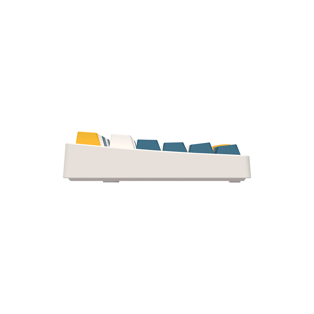 ���� KN02C ������� PBT ��Ű���� ������