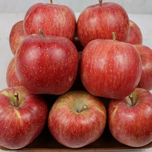 û�ۻ�� û�� �λ� ��� 10kg