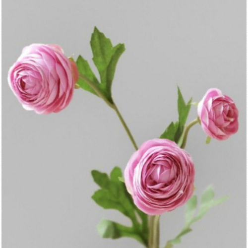 ����־ع� �������� ��ŧ���� ��ȭ