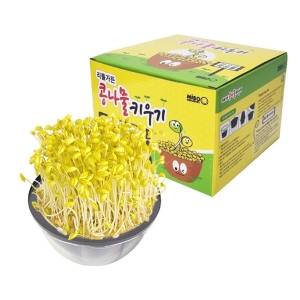 리틀가든 콩나물 키우기 국산 재배기 키트 기르기_이미지