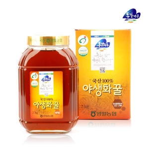 영월 동강마루 야생화꿀 2kg 병