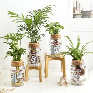 디버거 바보사랑 캐릭토리 피너츠 오션 스누피 드링크자 수경식물 4종 택1