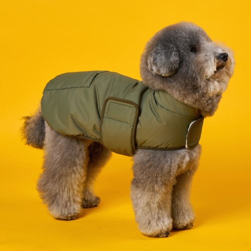 [�Ҹ�] �������� �������� ���е� s