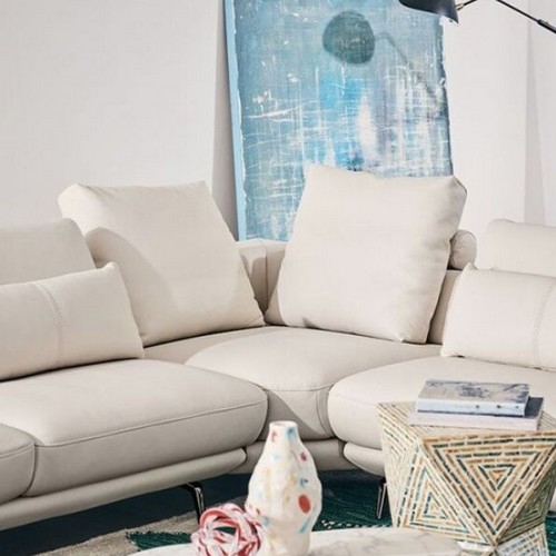 ���� �������� �ڳ��� ����Ʈ��� �е� õ������ ���� 4�ο�