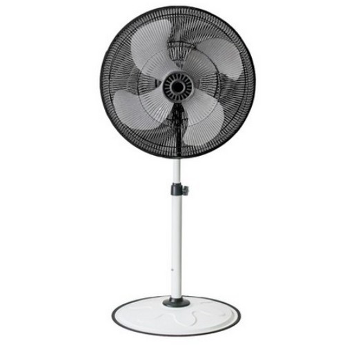 ����ü DWIF-D24W