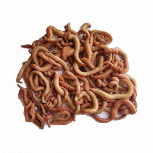 ȥ���� 200g