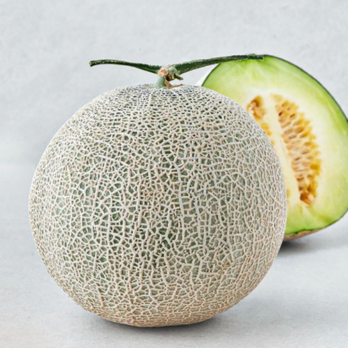 제이드가든 머스크메론 1.8kg (2개)_이미지