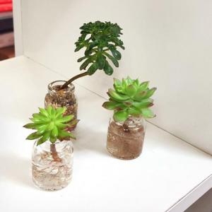 진바스 진바스 수경재배 다육이 유리병 화분3P셋트 미니형 다육포함이미지입니다. 누르면 해당 게시물로 새창이동합니다.