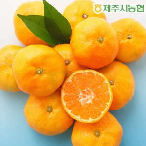 제주농협 하우스감귤 로얄 소과 2kg [1개]