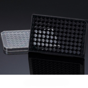 오피스안 Black Plate 블랙플레이트 96Well 1개 바닥면 필름 세포관찰홈판 sp33196 세포배양홈판_이미지