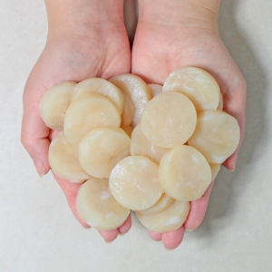 생선생 가리비 관자 500g 1팩