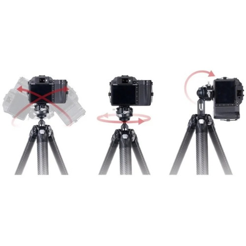 ��ķ 4301 R141K-320P TreeRoot �ﰢ��