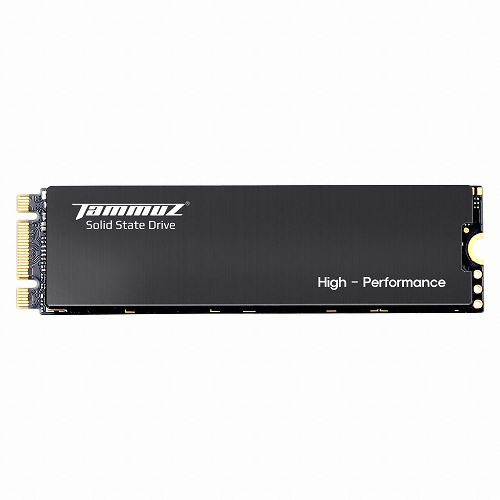 타무즈 M730 HT M.2 NVMe (256GB)_이미지