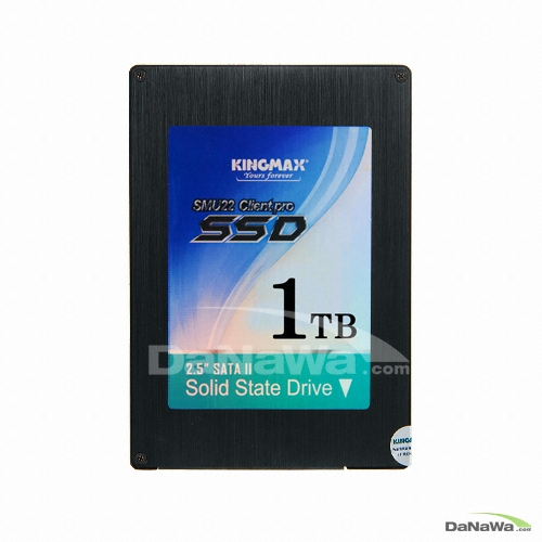 KINGMAX SMU22 Client Pro (1TB)_이미지