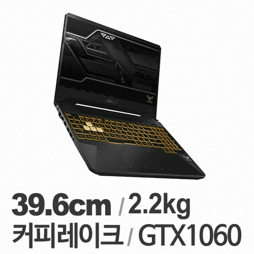 ASUS TUF FX505GM-BQ234 WIN10 (1TB)_이미지