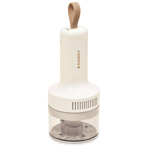 바이온 미니 DC-01 (아이보리)