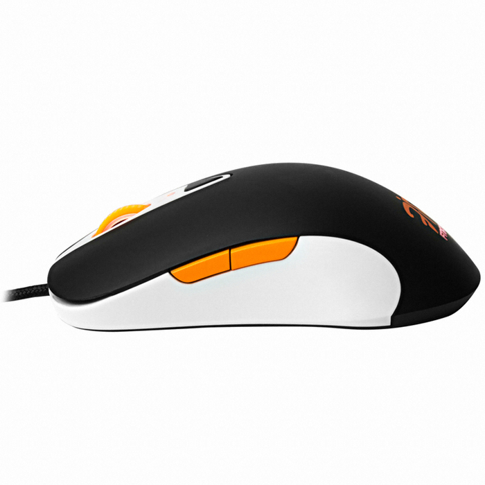 ��ƿ�ø��� SENSEI ������ FNATIC ����� ���콺 �Ľ���