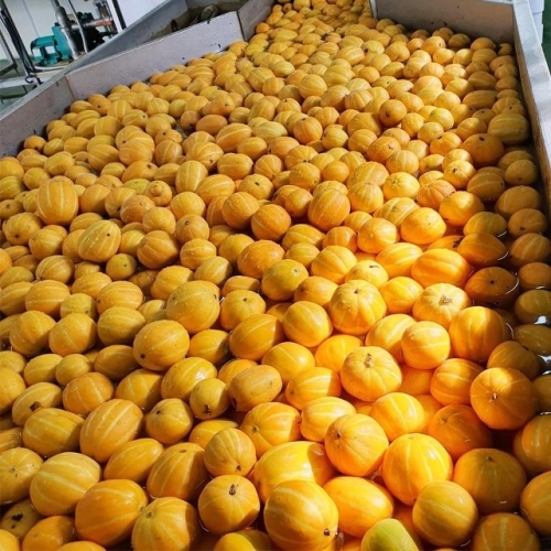 A테이블 국내산 가정용 성주 참외 소과 6과 내외 1kg (1개)_이미지