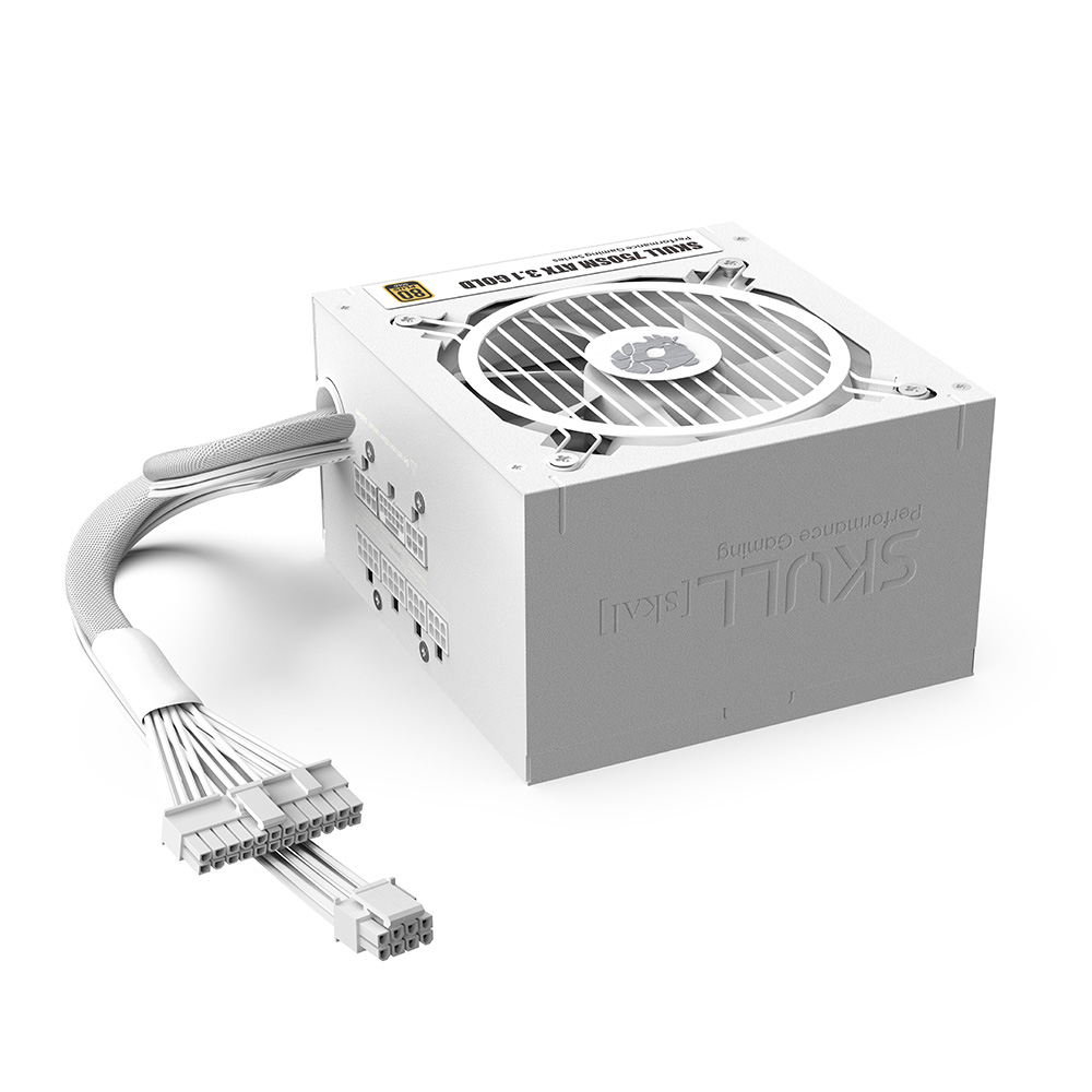 SKULL 850SM 모듈러 ATX3.1 80PLUS골드 화이트