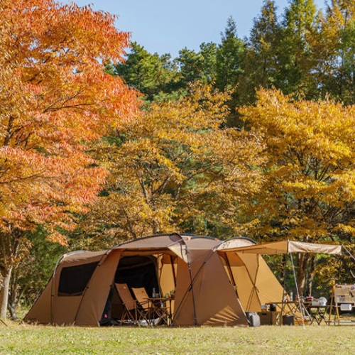 코베아  네스트 W 탄