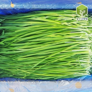 농산다모임 부추 4kg (1개)_이미지