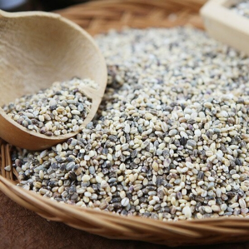 예술농부 햇 오색보리 2kg 4개