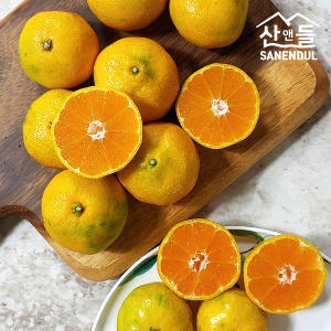 산앤들 극조생 감귤 로얄과 5kg [1개]