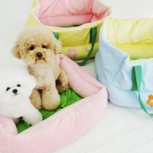 다솜 소풍 카시트 _애견카시트 강아지카시트이미지입니다. 누르면 해당 게시물로 새창이동합니다.