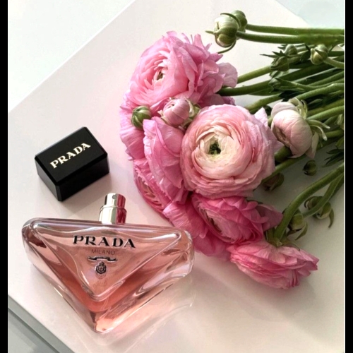 프라다 패러독스 EDP (30ml)_이미지