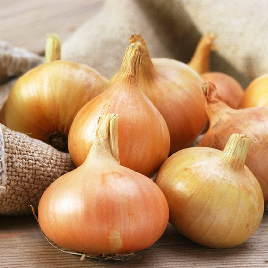 정동영농조합법인 합천 햇 양파 대 3kg (1개)