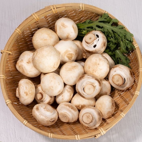 [�Ҹ�] �ο����̾����� ����̹��� ������ ����� 2kg