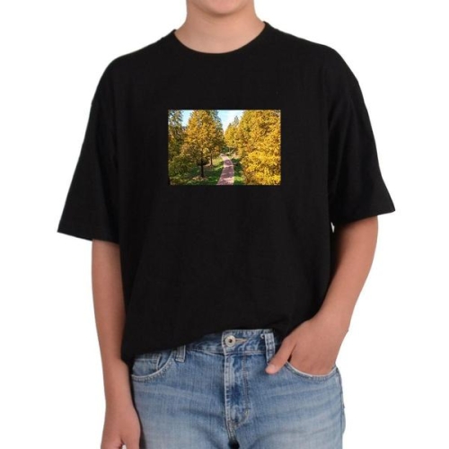 반팔 USA핏 멋진풍경 산책길 공원길그림 다양한색상 전사이즈 WFKQ0T7