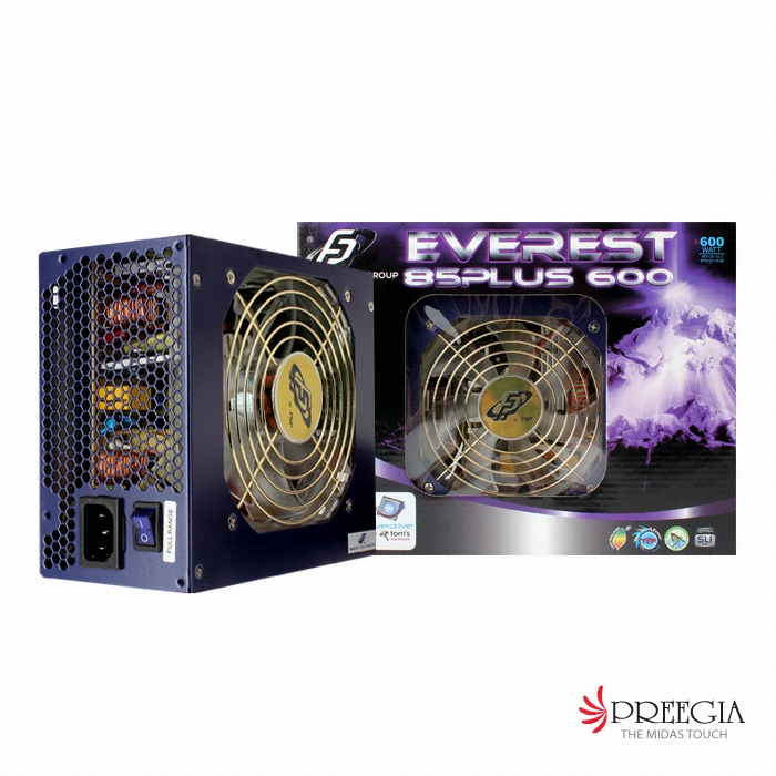 FSP EVEREST 85PLUS 600_이미지