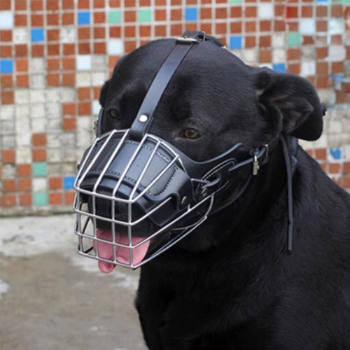 �갡�� �Խ�ƿ ������ �Ը���