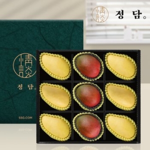 SSG정담 오늘의과일 망고 애플망고 선물세트 (1개)_이미지