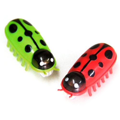 펫모닝 로봇버그 무당벌레 PMC-300 (1개)_이미지