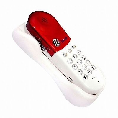 알티텔레콤 RT-100_이미지