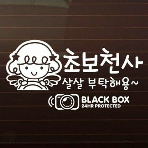 큐피트 초보천사 살살 부탁해요 + 블랙박스