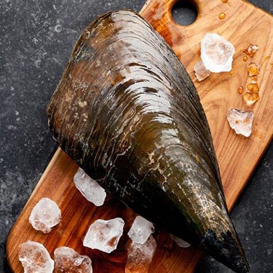 삼삼해물 거제도 자연산 키조개 중 3개(마리)이미지입니다. 누르면 해당 게시물로 새창이동합니다.