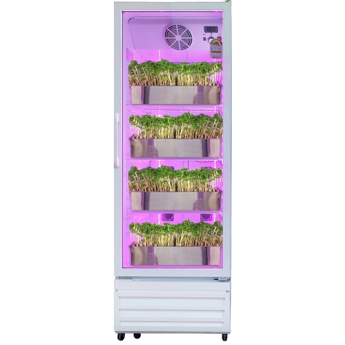 홈톡스닷컴 새싹 인삼 수경재배기 HT2900이미지입니다. 누르면 해당 게시물로 새창이동합니다.