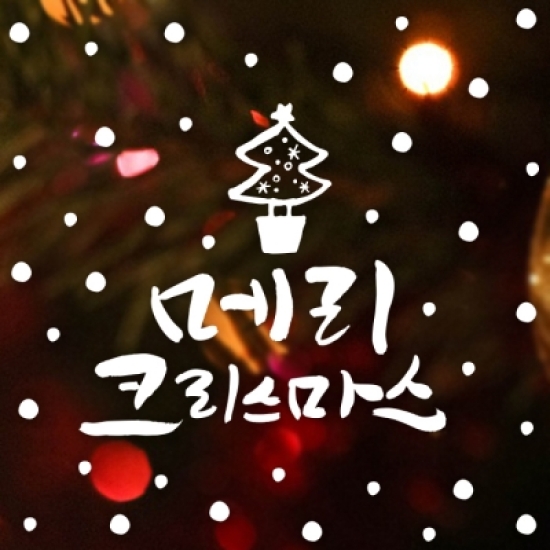 제제데코 캘리 메리크리스마스 트리