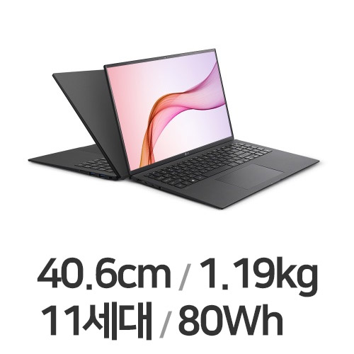 LG전자 2021 그램16 16ZD90P-GX7LK (SSD 256GB)_이미지