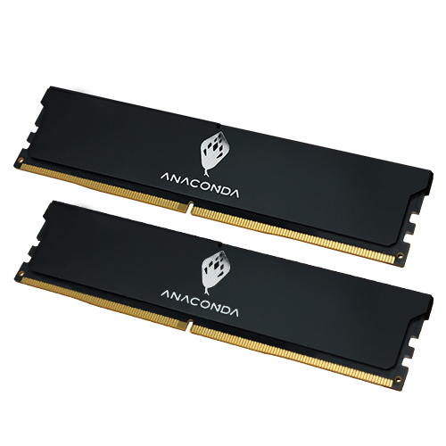 ANACOMDA DDR5-6000 CL38 KING SNAKE ���� ��Ƽ����ũ